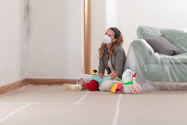 Reliable Attic Mold Removal contractor in Bayport, NY by WQB Mold Removal